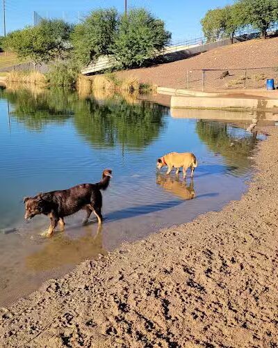 Cosmo Dog Park - Gilbert, AZ