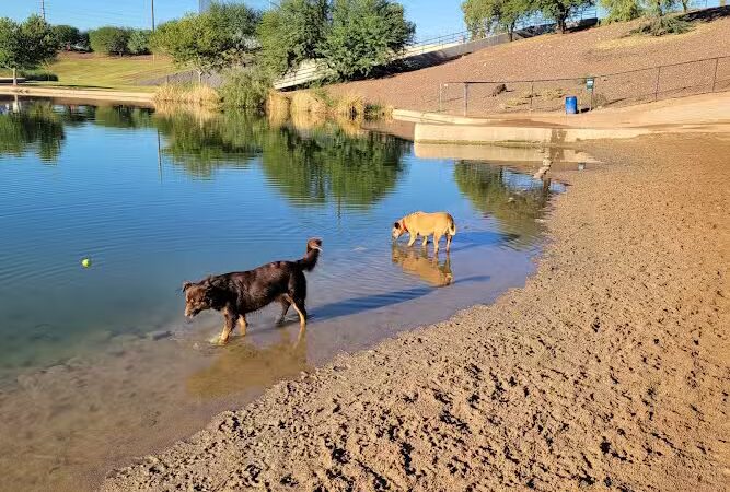 Cosmo Dog Park - Gilbert, AZ
