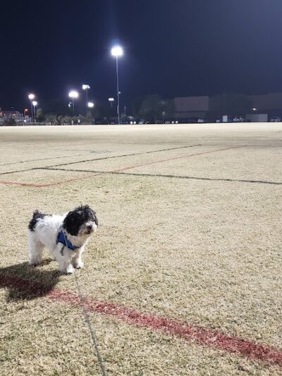 Dog Park at Crossroads - Gilbert, AZ