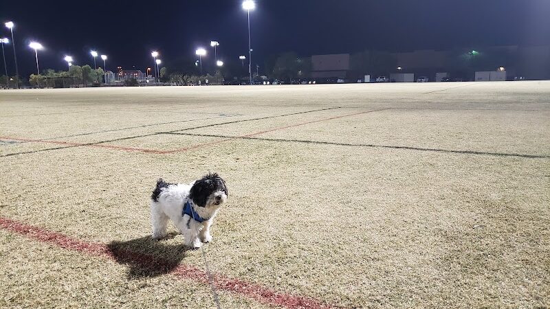 Dog Park at Crossroads - Gilbert, AZ