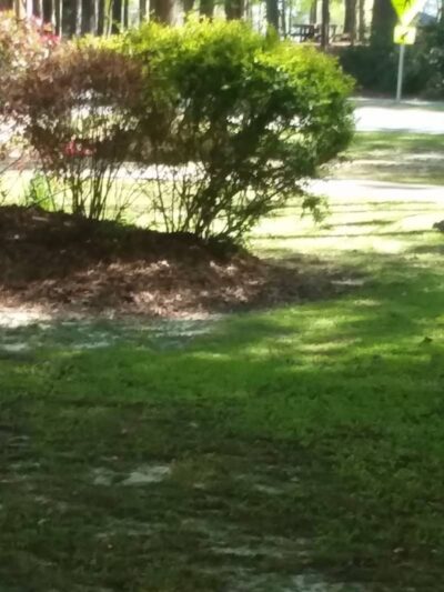 Gilbert Community Park - Gilbert, SC