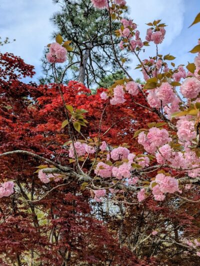 Gilbert Community Park - Gilbert, SC