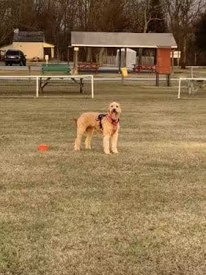Swamp Creek Park - Gilbertsville, PA