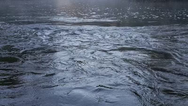 Gladwin City - North Park - Gladwin, MI