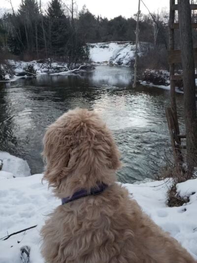 Gladwin City - North Park - Gladwin, MI