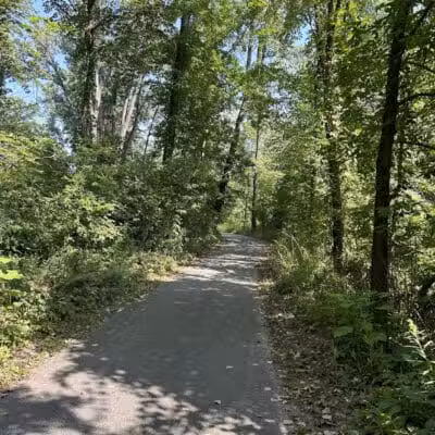 Gladwin City - North Park - Gladwin, MI