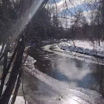 Gladwin County Recreation Area - Gladwin, MI