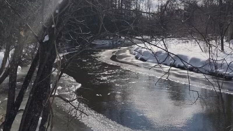 Gladwin County Recreation Area - Gladwin, MI