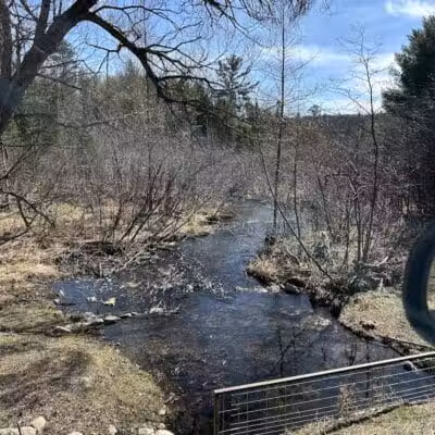 Gladwin County Recreation Area - Gladwin, MI