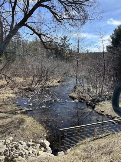 Gladwin County Recreation Area - Gladwin, MI