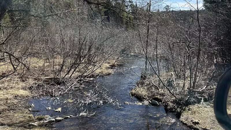 Gladwin County Recreation Area - Gladwin, MI
