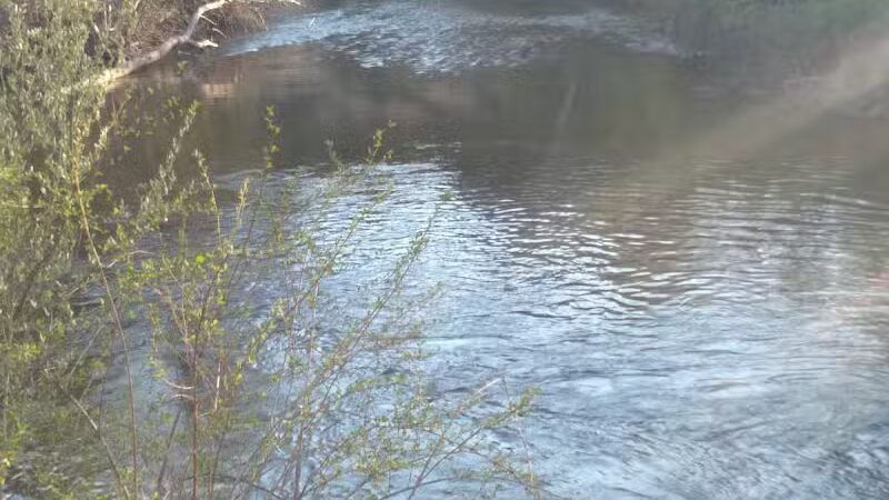 Gladwin Skate Park - Gladwin, MI