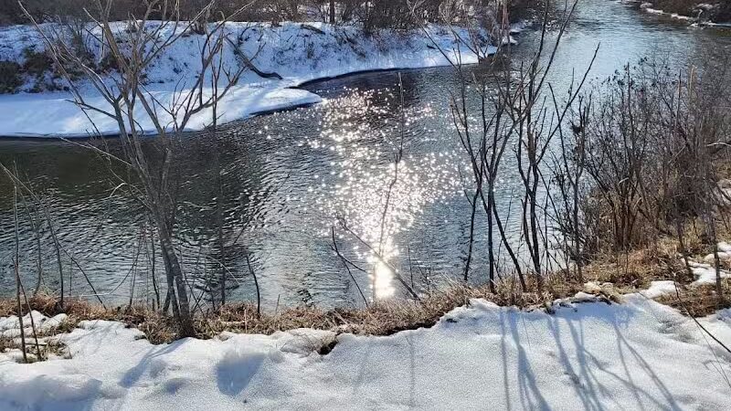 Gladwin Skate Park - Gladwin, MI