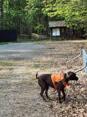 Gladwin County Recreation Area - Gladwin, MI