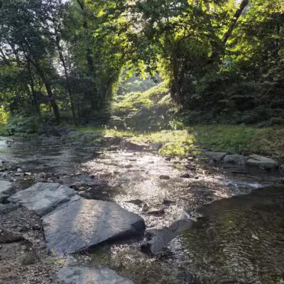 West Mill Creek Park - Gladwyne, PA