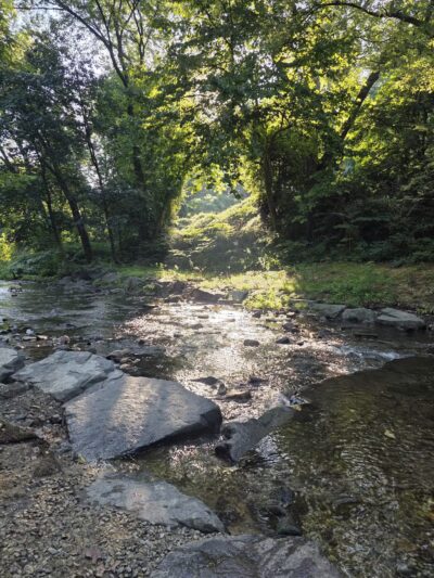 West Mill Creek Park - Gladwyne, PA