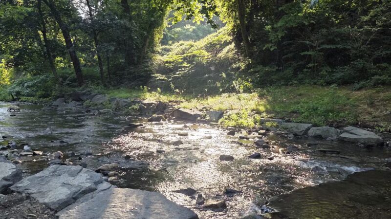 West Mill Creek Park - Gladwyne, PA