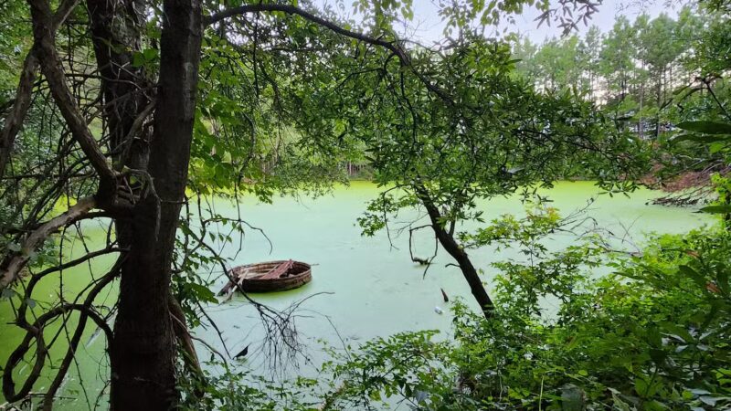 Crump Park - Glen Allen, VA