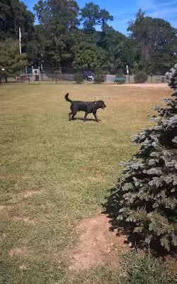Dennis Brian Murray Dog Park - Glen Cove, NY