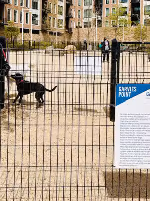 Garvies Point Dog Park - Glen Cove, NY