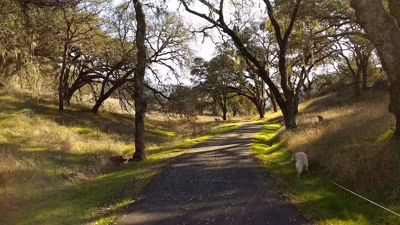 Sonoma Valley Regional Park - Glen Ellen, CA