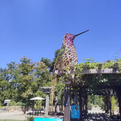 Sonoma Valley Regional Park - Glen Ellen, CA