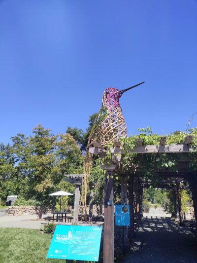 Sonoma Valley Regional Park - Glen Ellen, CA