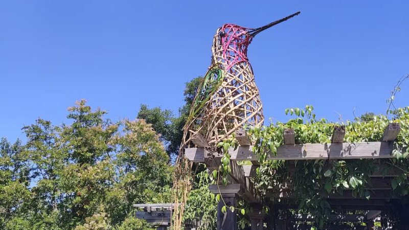 Sonoma Valley Regional Park - Glen Ellen, CA