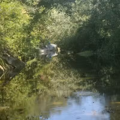Sonoma Valley Regional Park - Glen Ellen, CA