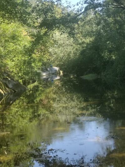 Sonoma Valley Regional Park - Glen Ellen, CA