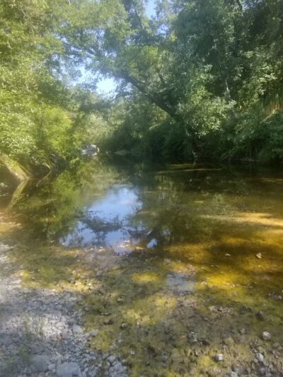 Sonoma Valley Regional Park - Glen Ellen, CA