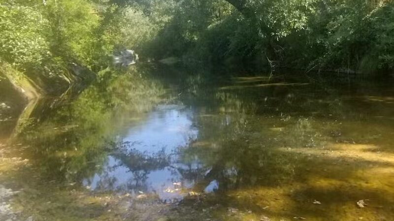 Sonoma Valley Regional Park - Glen Ellen, CA