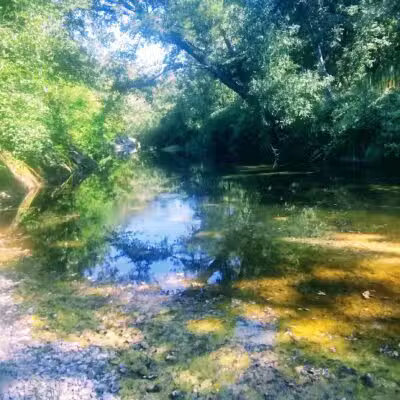 Sonoma Valley Regional Park - Glen Ellen, CA