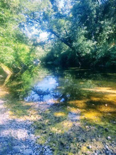 Sonoma Valley Regional Park - Glen Ellen, CA