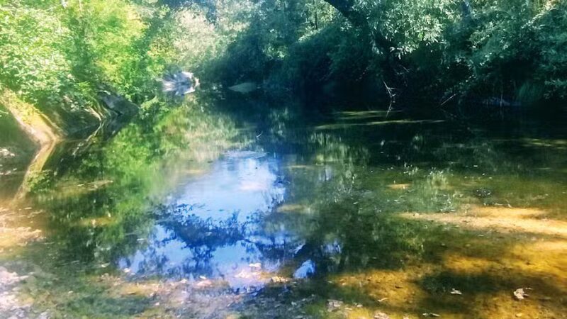 Sonoma Valley Regional Park - Glen Ellen, CA