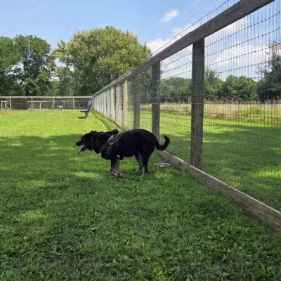 Bethel Dog Park - Glen Mills, PA
