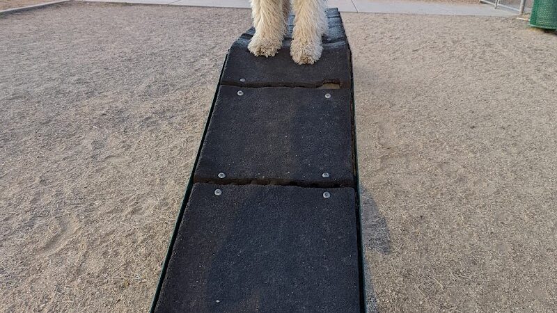 Foothills Dog Park - Glendale, AZ