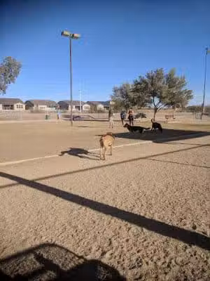 Foothills Dog Park - Glendale, AZ