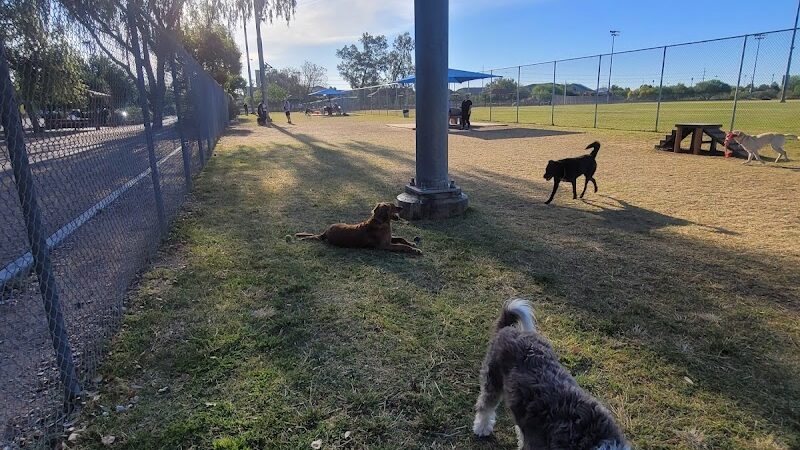 Foothills Dog Park - Glendale, AZ