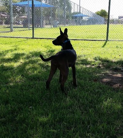 Foothills Dog Park - Glendale, AZ