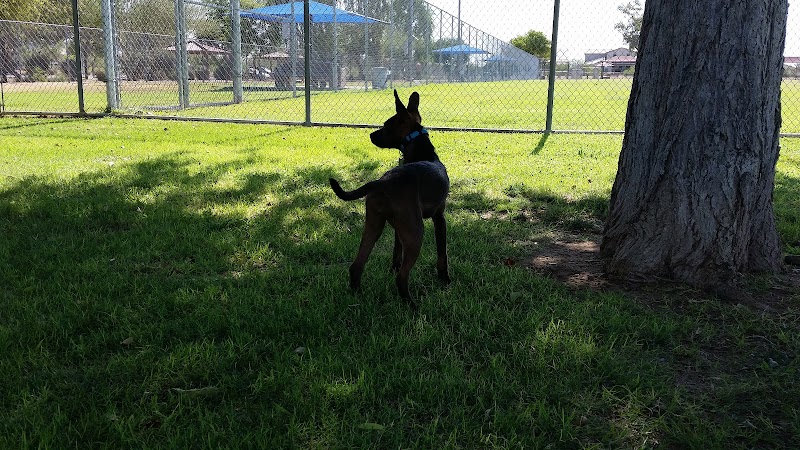 Foothills Dog Park - Glendale, AZ