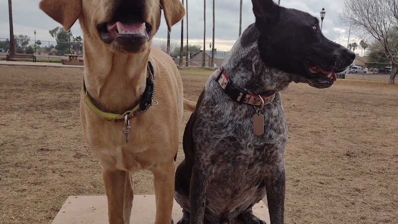 Sahuaro Ranch Dog Park - Glendale, AZ