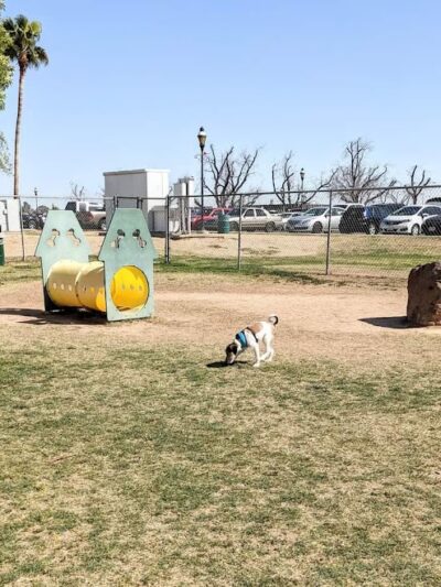 Sahuaro Ranch Dog Park - Glendale, AZ
