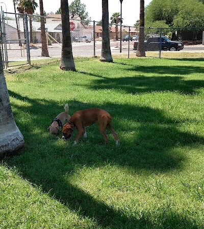 Sahuaro Ranch Dog Park - Glendale, AZ