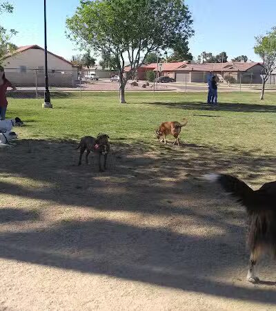 Sahuaro Ranch Dog Park - Glendale, AZ