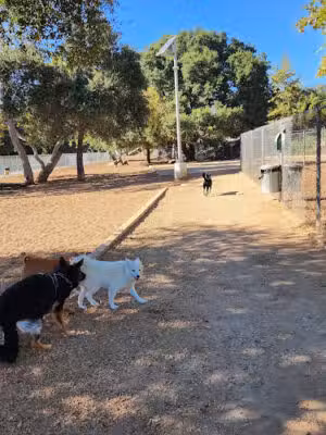 Crescenta Valley Dog Park - Glendale, CA