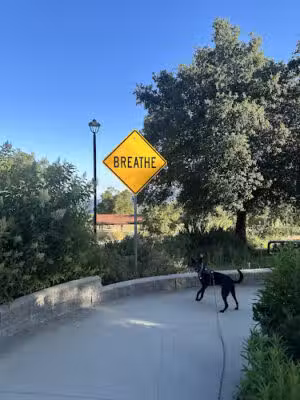 Deukmejian Wilderness Park - Glendale, CA