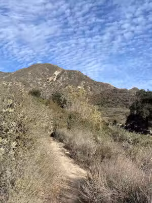 Deukmejian Wilderness Park Open Field - Glendale, CA