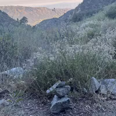Deukmejian Wilderness Park - Glendale, CA