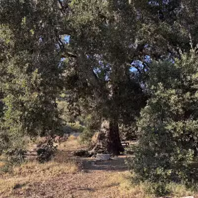 Deukmejian Wilderness Park - Glendale, CA